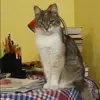 Отзыв от Вера Горлова